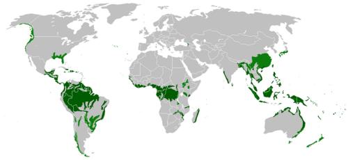 world map showing tropical and temperate rainforest locations